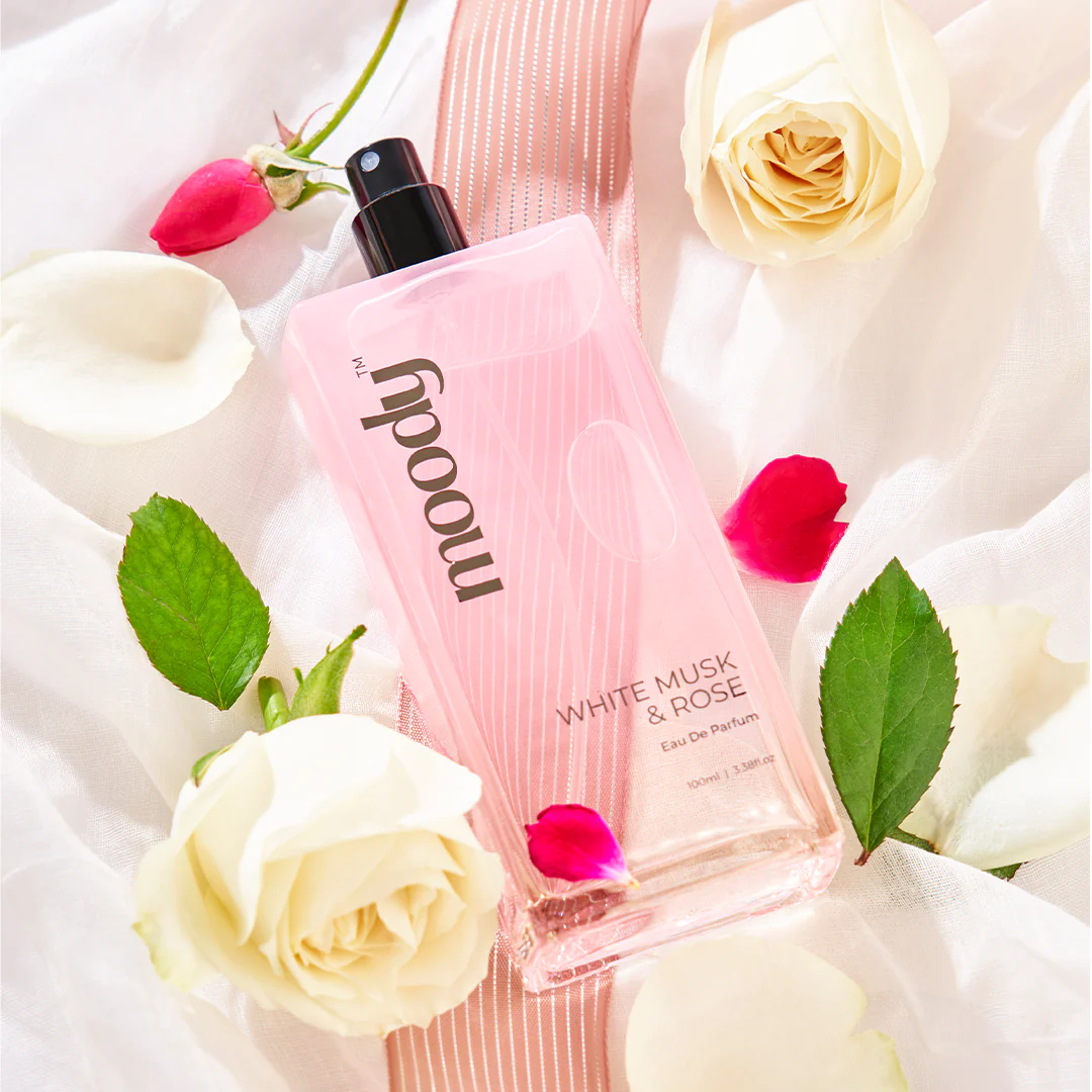 New Launches